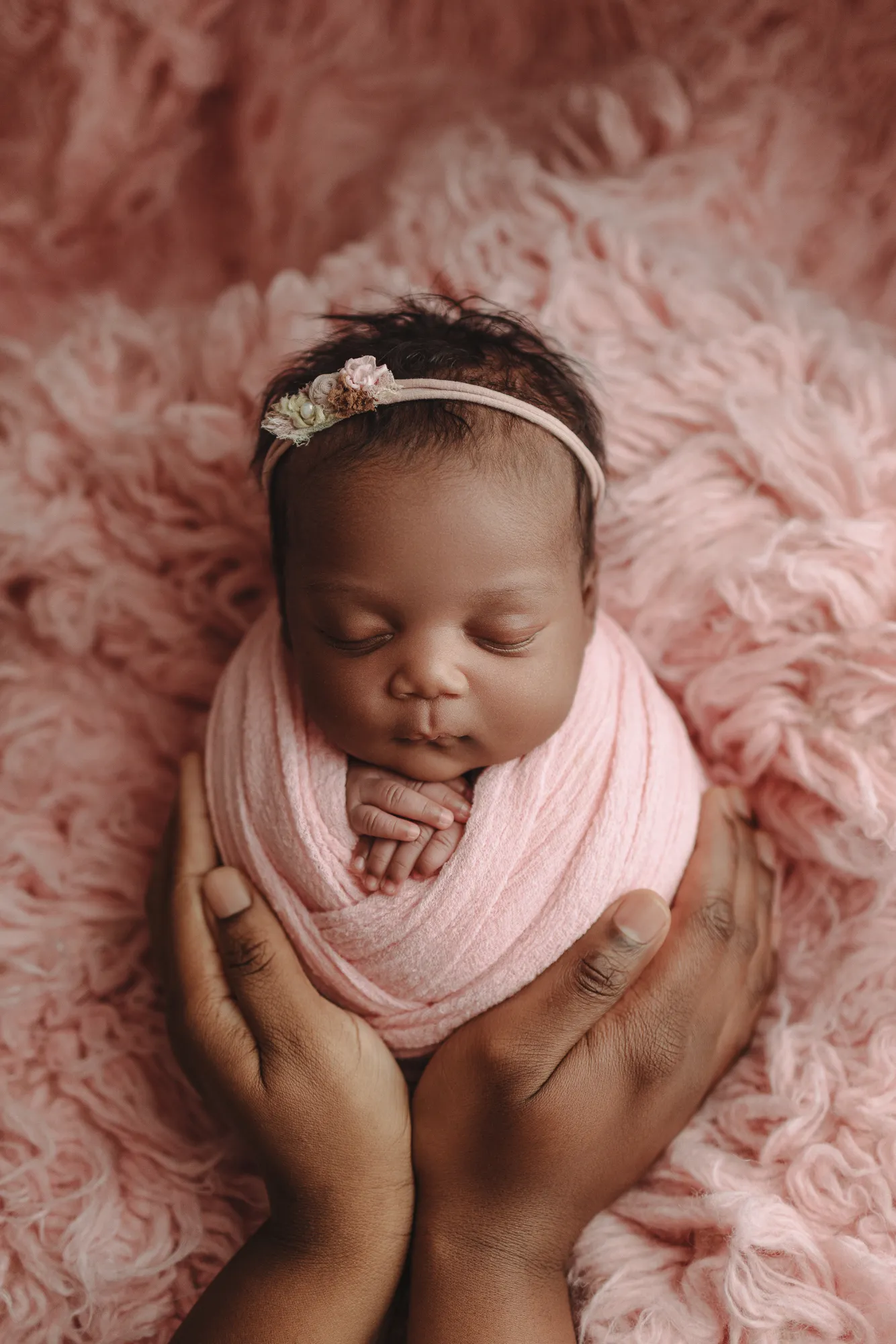 Newborn swaddled in pink, cupped in her parent's hands on pink fur