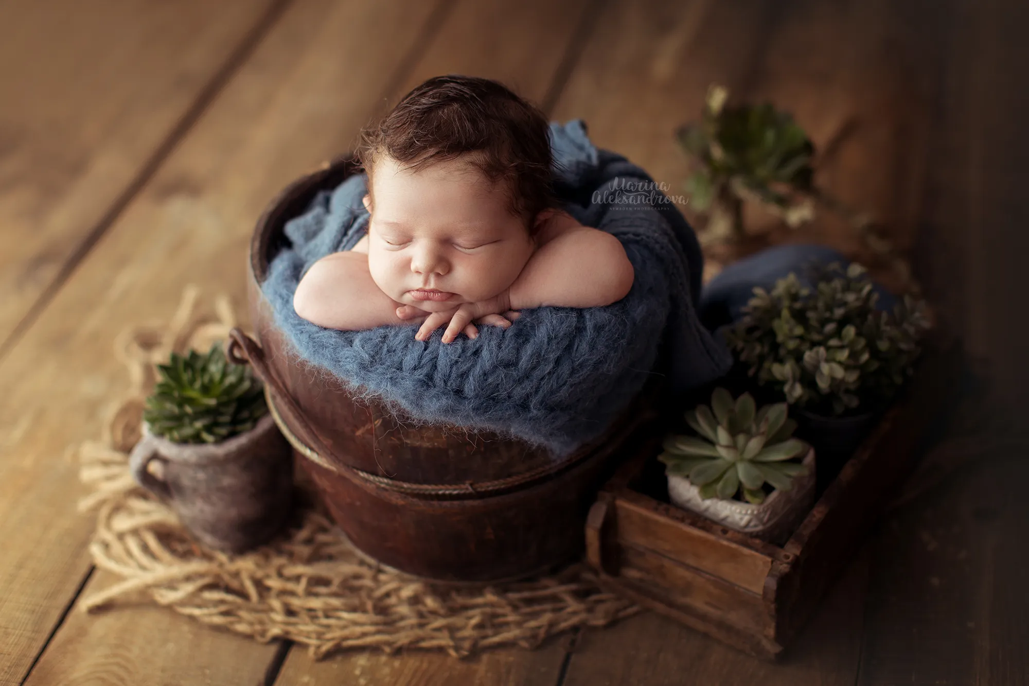 Newborn in a navy wrap asleep in a metal bucket beside potted succulents
